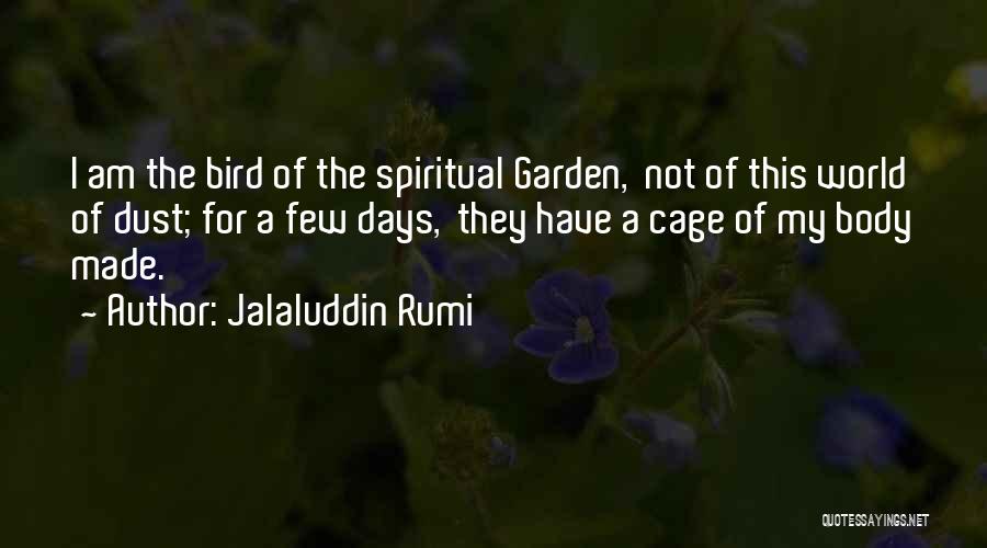 Bird Out Of Cage Quotes By Jalaluddin Rumi