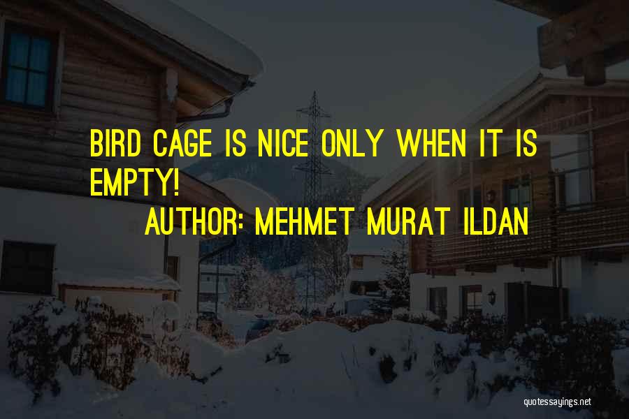 Bird Out Of Cage Quotes By Mehmet Murat Ildan
