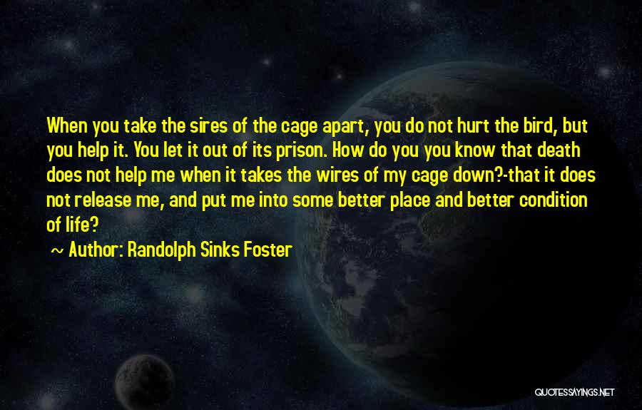 Bird Out Of Cage Quotes By Randolph Sinks Foster