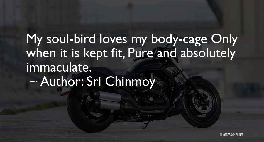 Bird Out Of Cage Quotes By Sri Chinmoy
