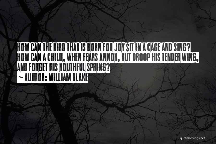 Bird Out Of Cage Quotes By William Blake