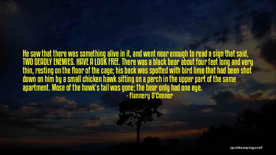 Bird Perch Quotes By Flannery O'Connor