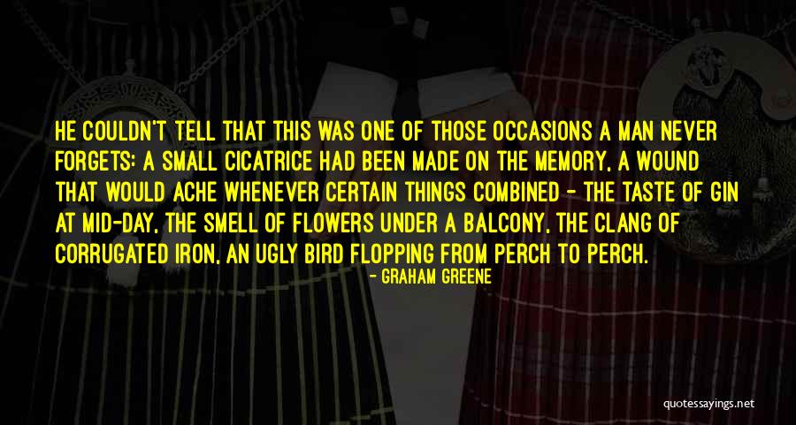 Bird Perch Quotes By Graham Greene Bird Perch Quotes By Graham Greene