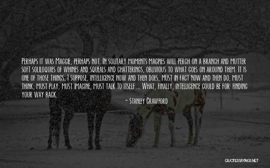 Bird Perch Quotes By Stanley Crawford Bird Perch Quotes By Stanley Crawford