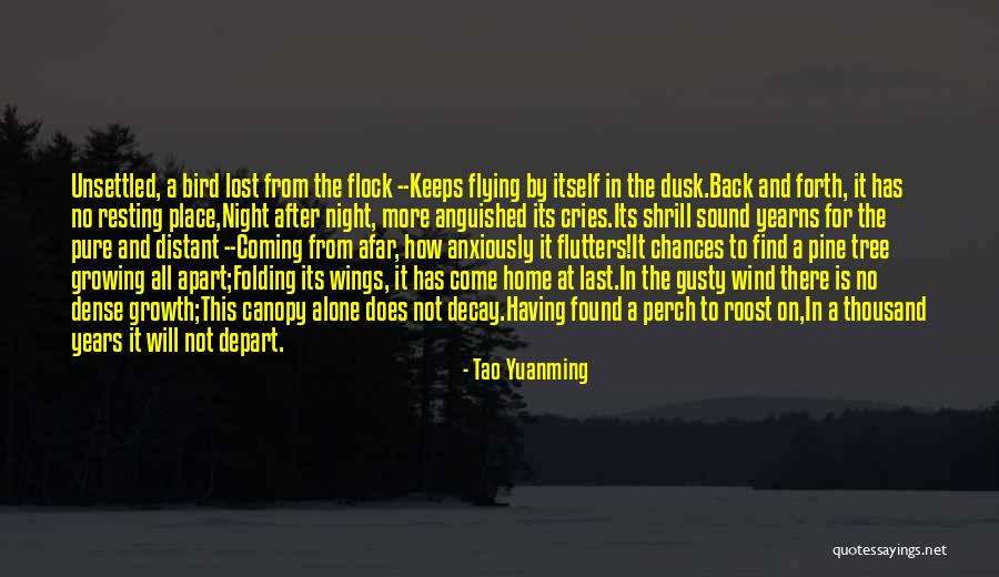 Bird Perch Quotes By Tao Yuanming Bird Perch Quotes By Tao Yuanming