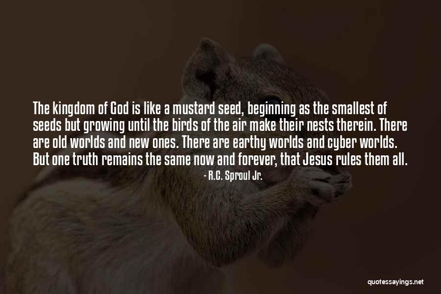 Bird Seed Quotes By R.C. Sproul Jr. Bird Seed Quotes By R.C. Sproul Jr.