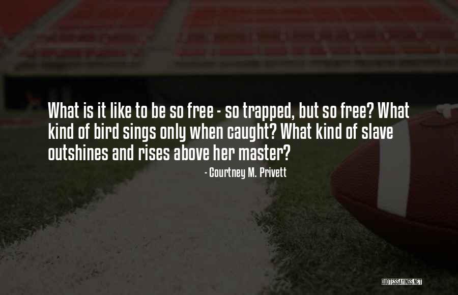 Bird Sings Quotes By Courtney M. Privett