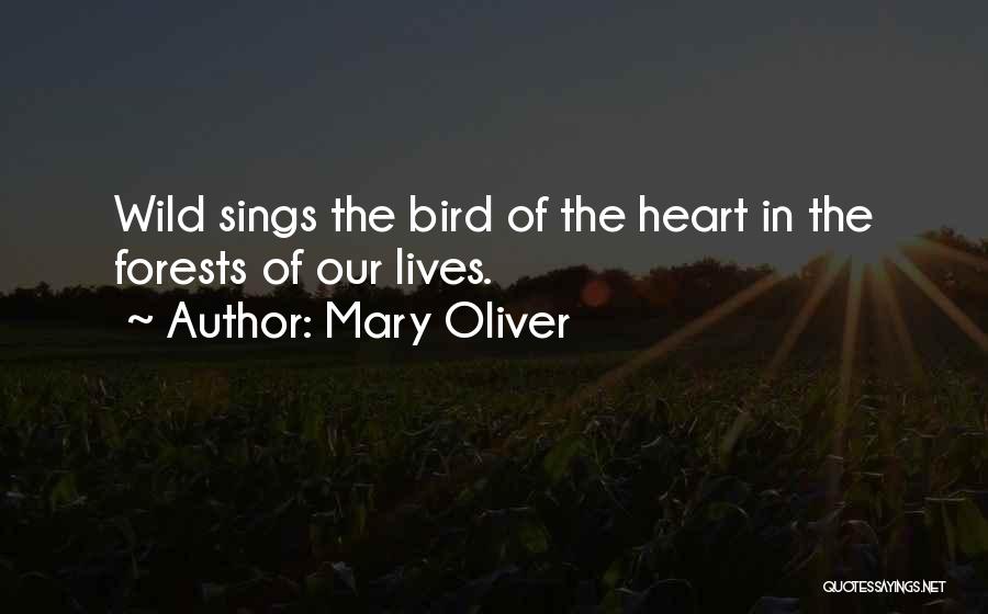 Bird Sings Quotes By Mary Oliver