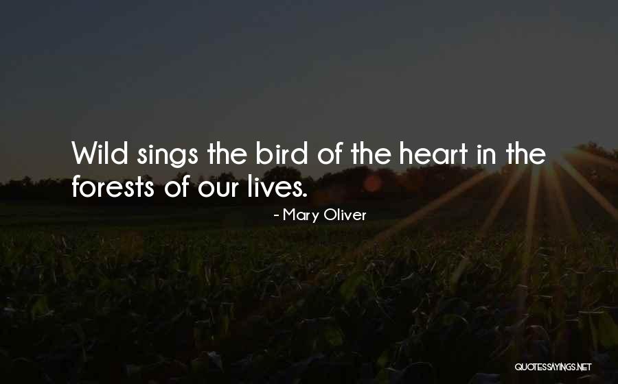 Bird Sings Quotes By Mary Oliver