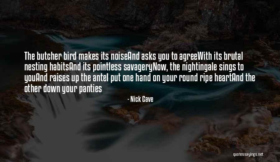 Bird Sings Quotes By Nick Cave