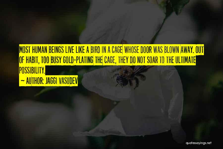 Bird Soar Quotes By Jaggi Vasudev