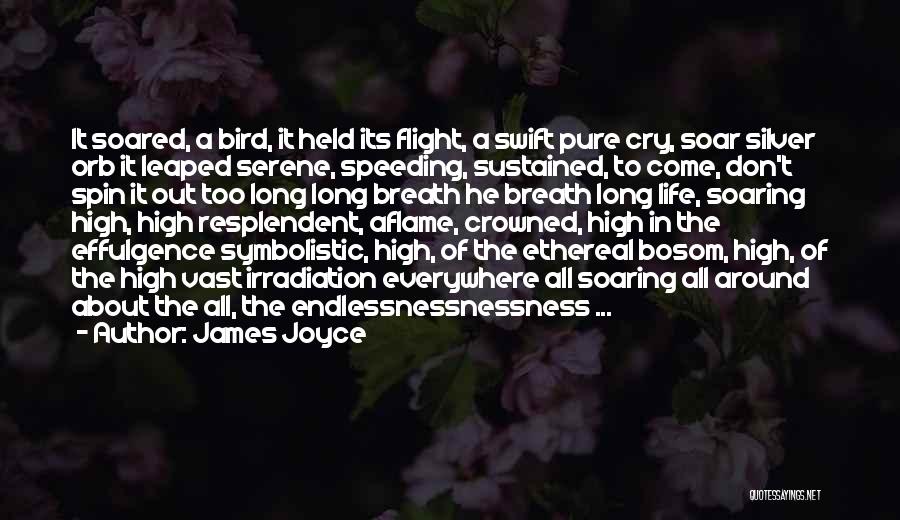 Bird Soar Quotes By James Joyce