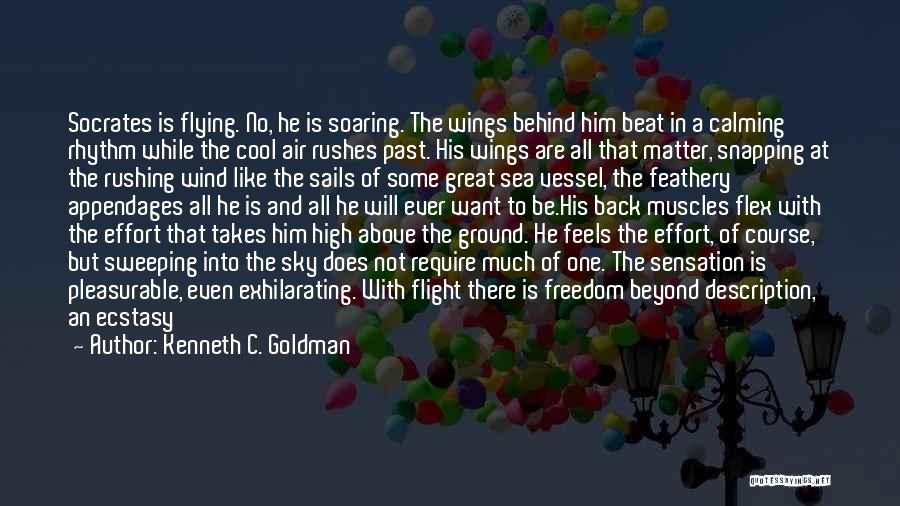 Bird Soar Quotes By Kenneth C. Goldman