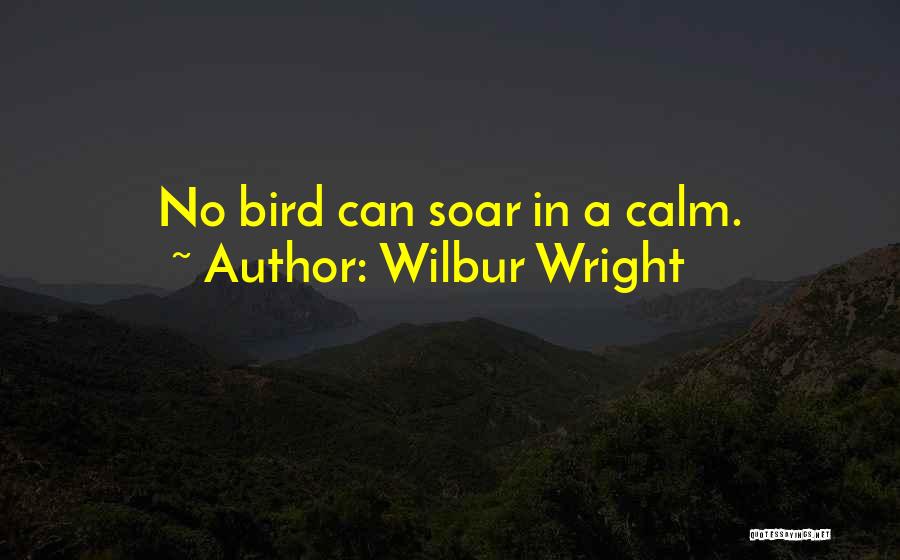 Bird Soar Quotes By Wilbur Wright