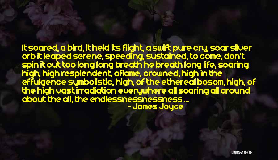 Bird Soaring Quotes By James Joyce Bird Soaring Quotes By James Joyce