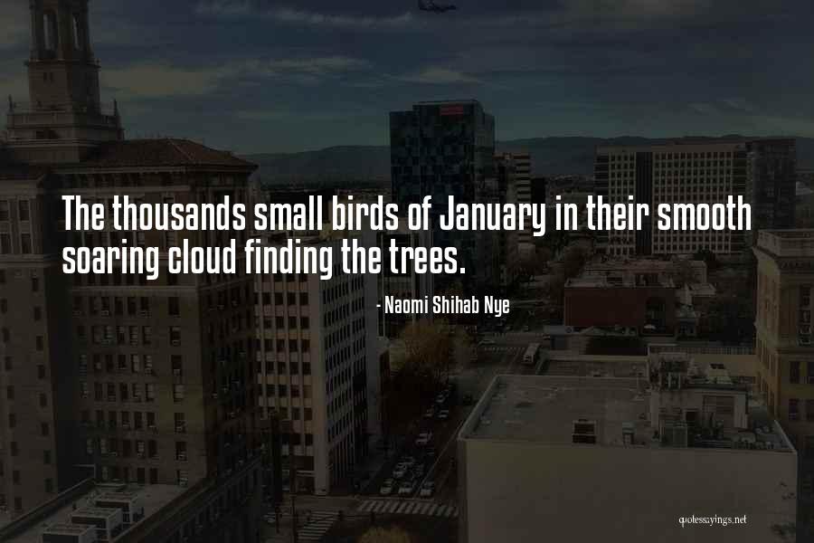 Bird Soaring Quotes By Naomi Shihab Nye Bird Soaring Quotes By Naomi Shihab Nye
