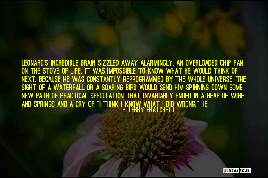Bird Soaring Quotes By Terry Pratchett Bird Soaring Quotes By Terry Pratchett