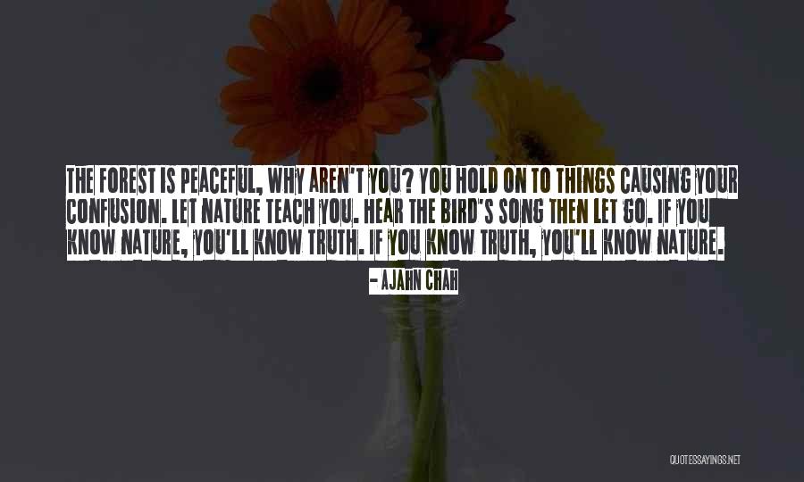 Bird Song Quotes By Ajahn Chah Bird Song Quotes By Ajahn Chah