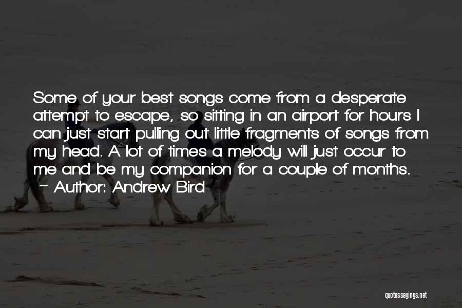 Bird Songs Quotes By Andrew Bird