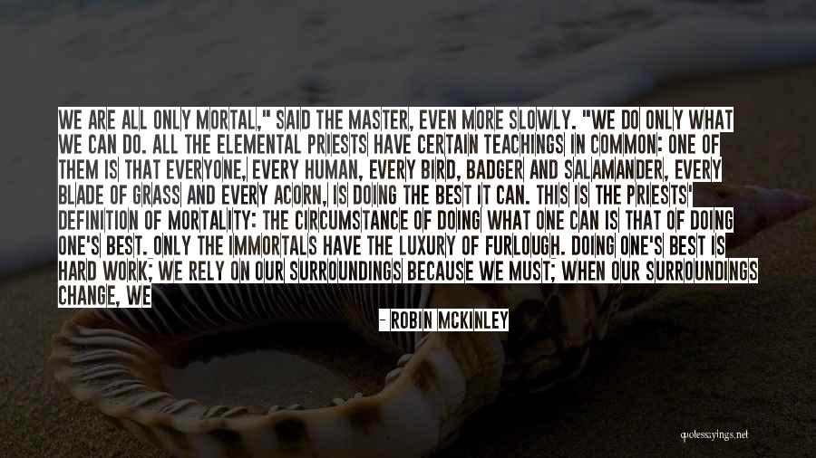 Bird Teachings Quotes By Robin McKinley Bird Teachings Quotes By Robin McKinley