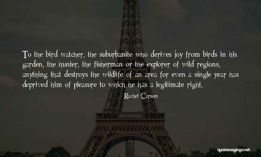 Bird Watcher Quotes By Rachel Carson