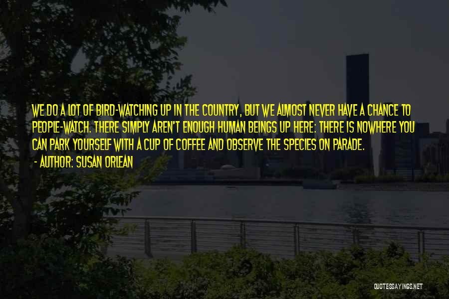 Bird Watching Quotes By Susan Orlean