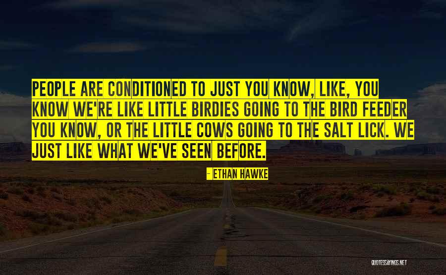 Birdies Quotes By Ethan Hawke Birdies Quotes By Ethan Hawke