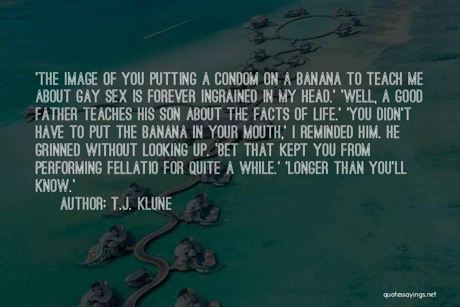 Birds And Family Quotes By T.J. Klune