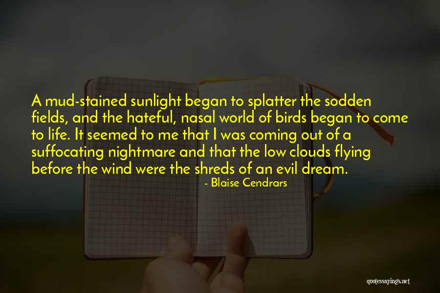 Birds And Flying Quotes By Blaise Cendrars Birds And Flying Quotes By Blaise Cendrars