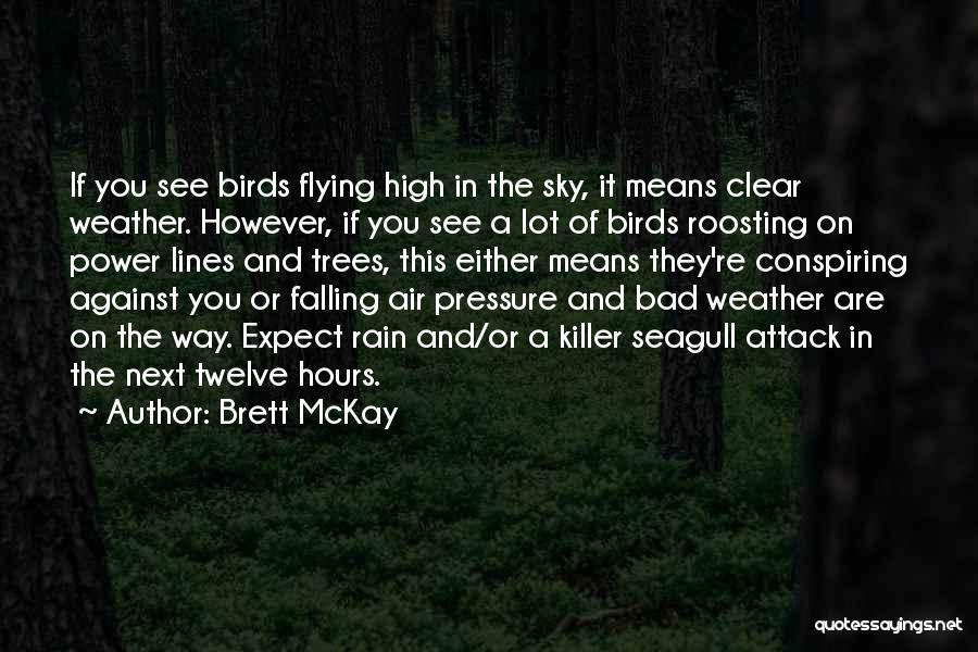Birds And Flying Quotes By Brett McKay