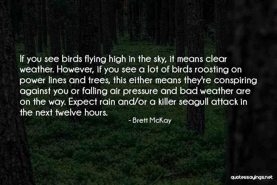 Birds And Flying Quotes By Brett McKay Birds And Flying Quotes By Brett McKay