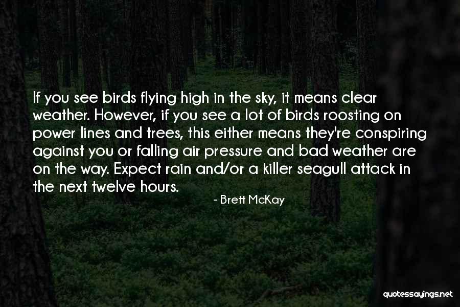 Birds And Flying Quotes By Brett McKay