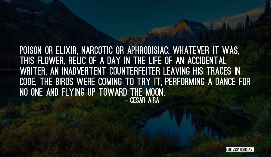 Birds And Flying Quotes By Cesar Aira Birds And Flying Quotes By Cesar Aira