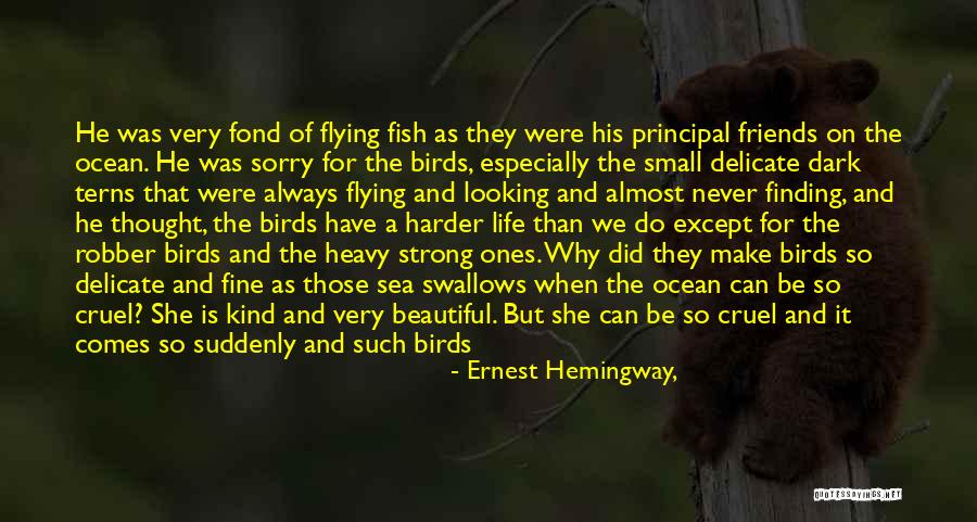 Birds And Flying Quotes By Ernest Hemingway,