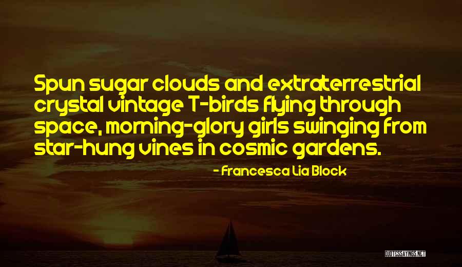 Birds And Flying Quotes By Francesca Lia Block Birds And Flying Quotes By Francesca Lia Block