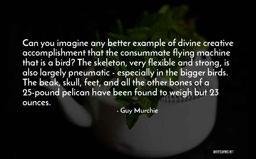Birds And Flying Quotes By Guy Murchie Birds And Flying Quotes By Guy Murchie
