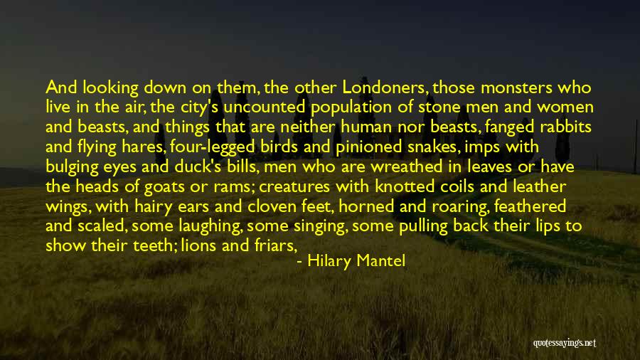 Birds And Flying Quotes By Hilary Mantel