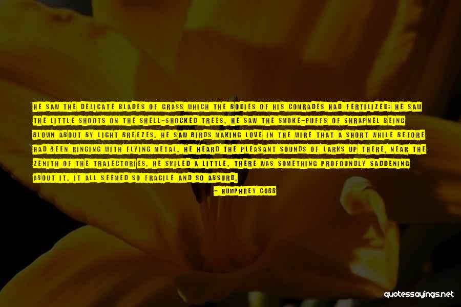 Birds And Flying Quotes By Humphrey Cobb Birds And Flying Quotes By Humphrey Cobb
