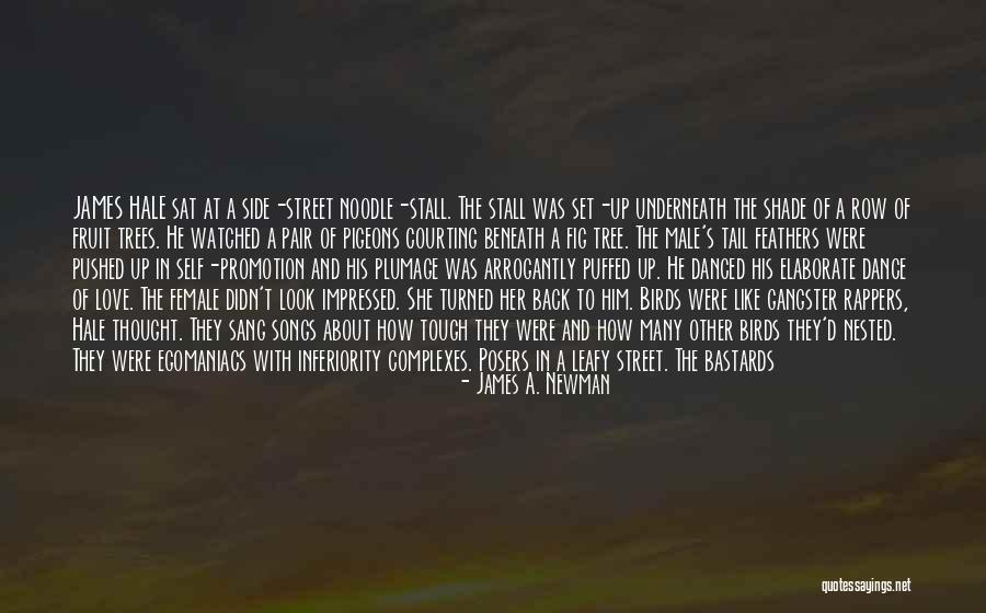 Birds And Flying Quotes By James A. Newman Birds And Flying Quotes By James A. Newman