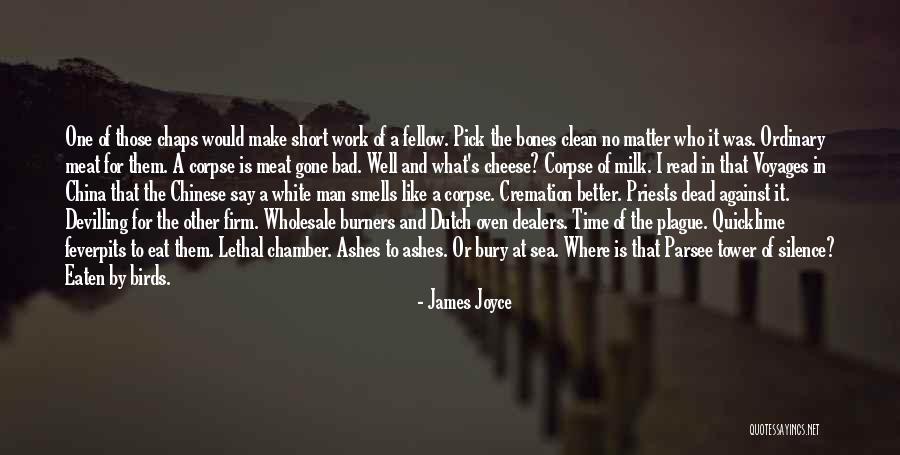 Birds And Flying Quotes By James Joyce Birds And Flying Quotes By James Joyce