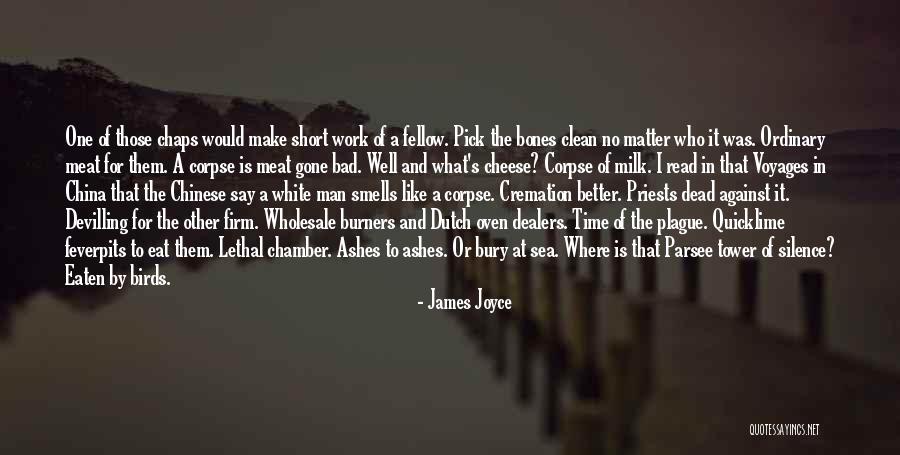 Birds And Flying Quotes By James Joyce