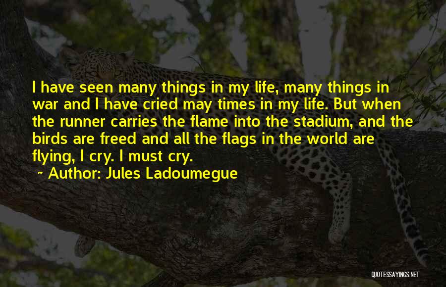 Birds And Flying Quotes By Jules Ladoumegue