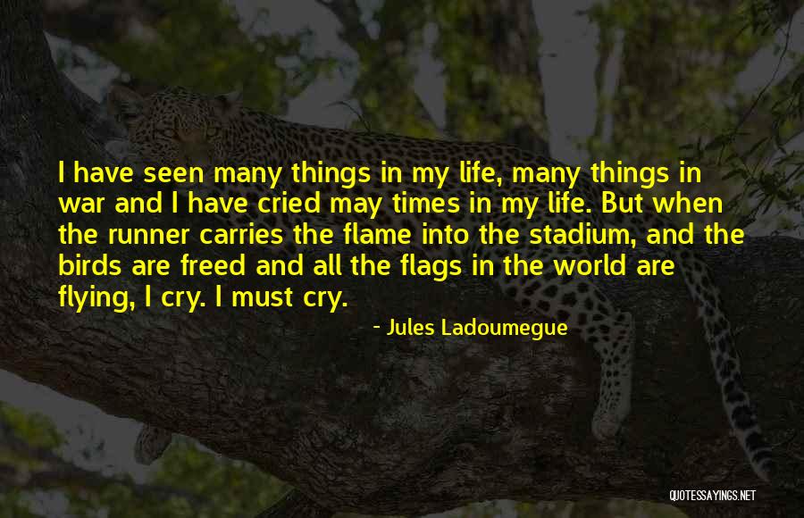 Birds And Flying Quotes By Jules Ladoumegue Birds And Flying Quotes By Jules Ladoumegue
