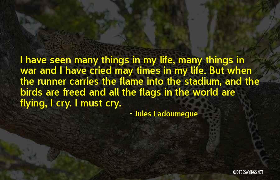 Birds And Flying Quotes By Jules Ladoumegue