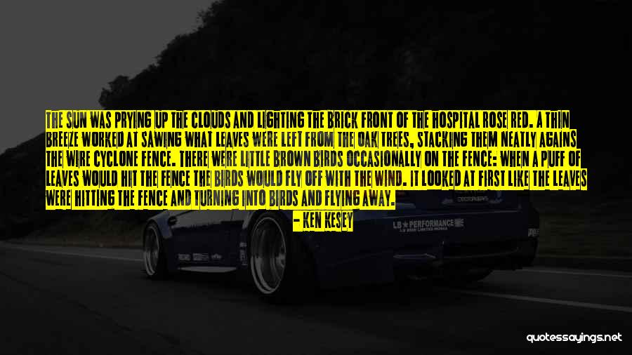 Birds And Flying Quotes By Ken Kesey Birds And Flying Quotes By Ken Kesey
