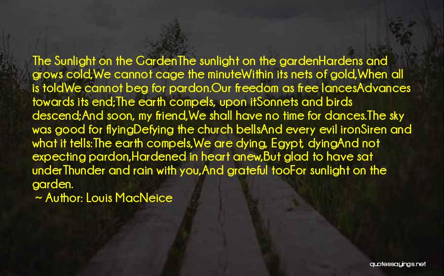 Birds And Flying Quotes By Louis MacNeice