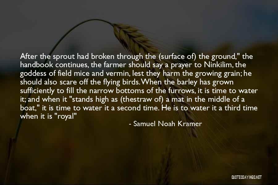 Birds And Flying Quotes By Samuel Noah Kramer Birds And Flying Quotes By Samuel Noah Kramer