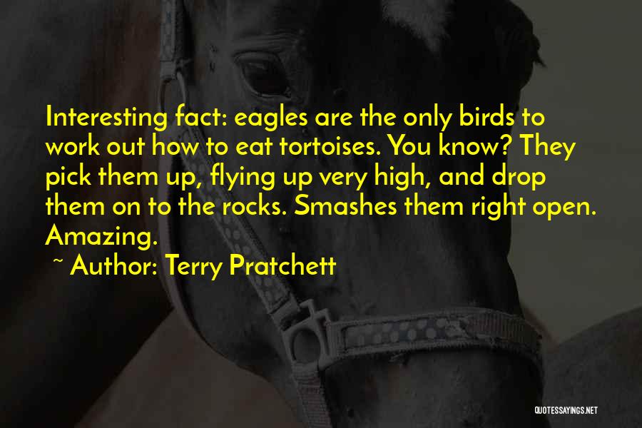 Birds And Flying Quotes By Terry Pratchett
