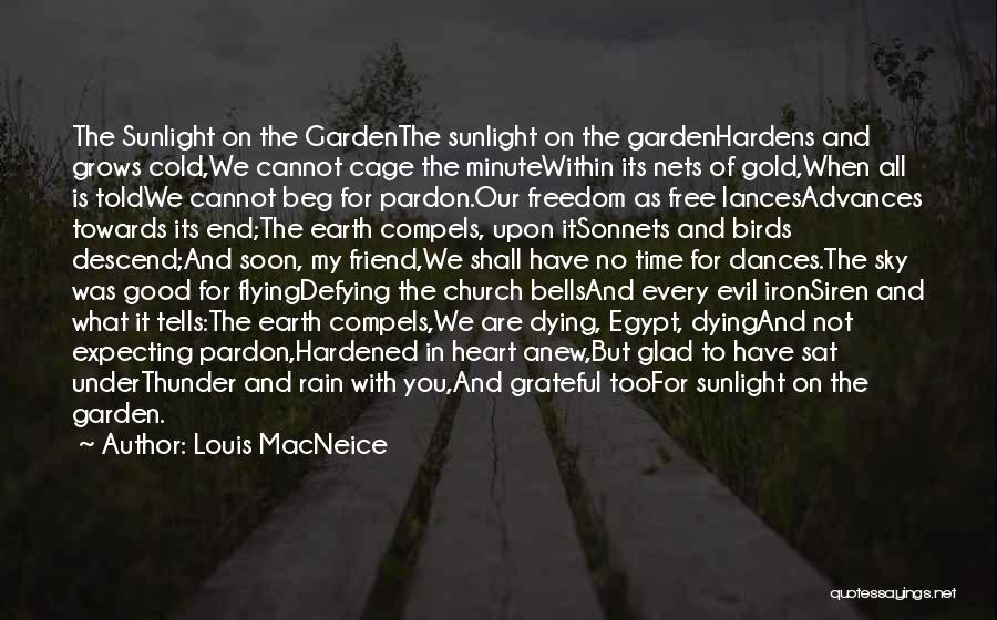 Birds And Freedom Quotes By Louis MacNeice