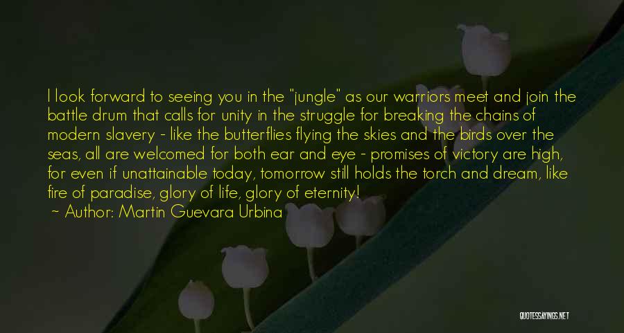 Birds And Freedom Quotes By Martin Guevara Urbina